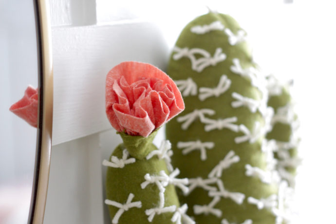 Cactuskussen – Home Decor