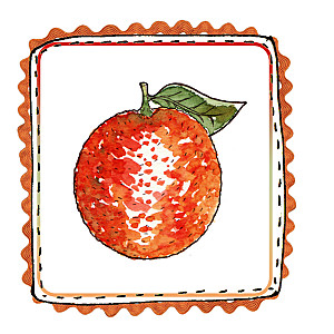 Groente- en fruitgeheugen